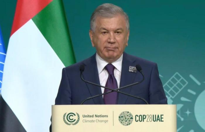 Climate change is a sickness only global leaders can cure, UN chief tells COP28