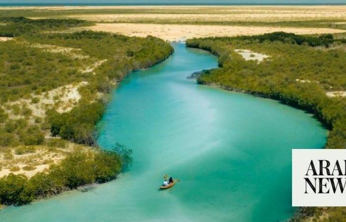 Saudi Arabia’s Red Sea Global looks to lead in sustainable, regenerative tourism at COP28