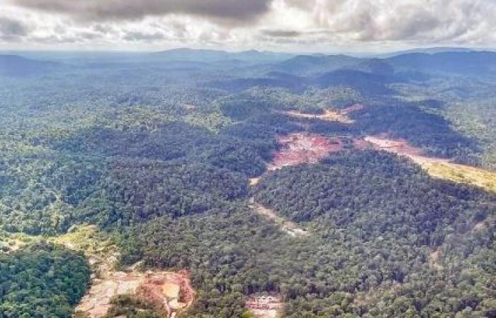 COP28: UN chief previews panel on management of minerals essential for green energy transition