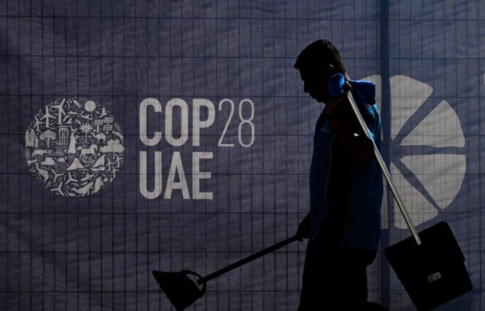 Controversial carbon credits flood COP28, yet still no rules