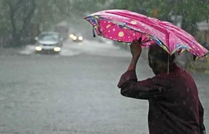 Heavy rains in southern India as Cyclone Michaung makes landfall