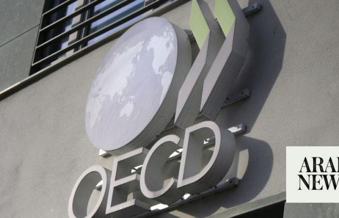 Global energy crisis sparked significant tax reductions in OECD countries: report 