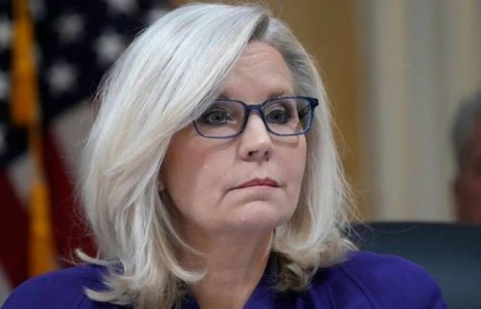 Liz Cheney says she’ll do everything to stop Trump from returning to White House