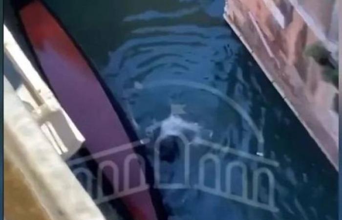 Venice gondola capsizes after tourists stand to take selfies