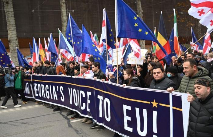 Georgians march for EU ahead of candidacy decision