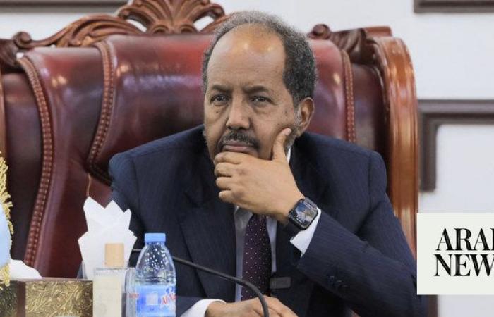 Son of Somalia president flees Turkiye after crash