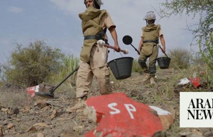 Saudi project clears 733 Houthi mines in Yemen in a week