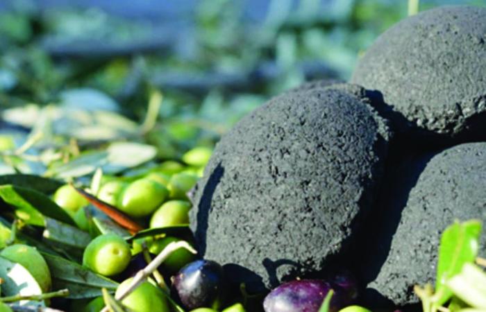 Sustainable alternative to traditional charcoal gains popularity in Saudi Arabia