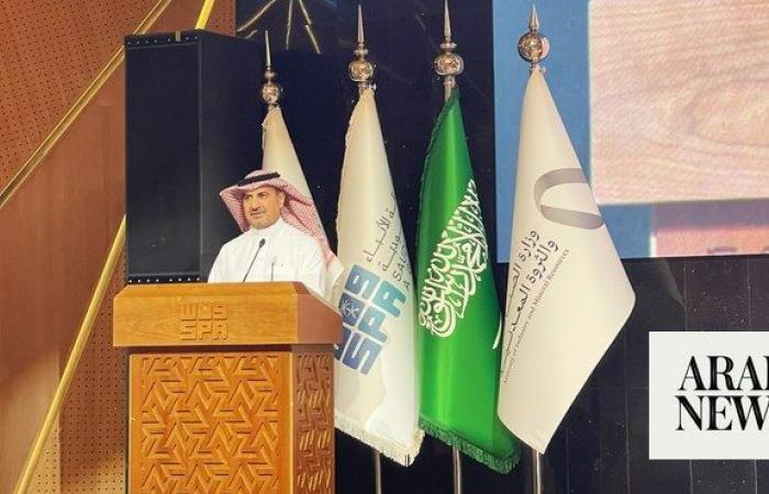 Saudi Arabia emerges as global leader in green minerals, says vice minister