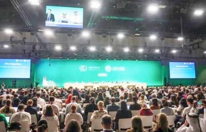 Examining COP28's potential impact on climate change