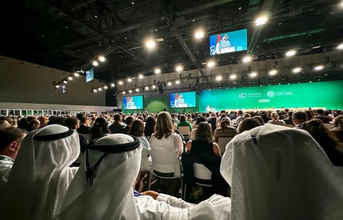 Fossil focus: Key points of the Dubai climate deal