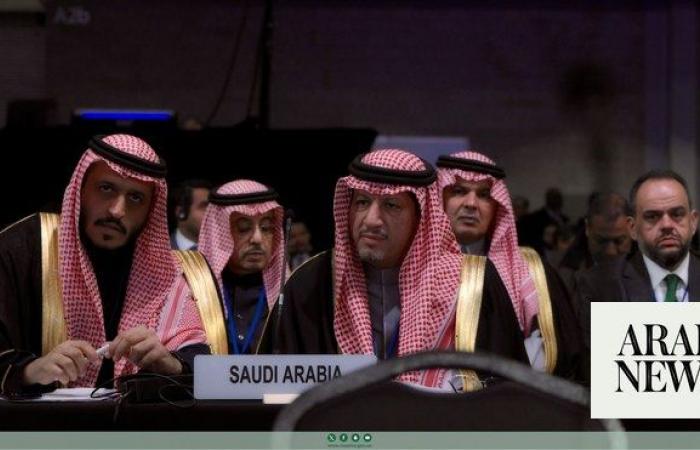 Saudi authority launches global anti-corruption drive with UNDP