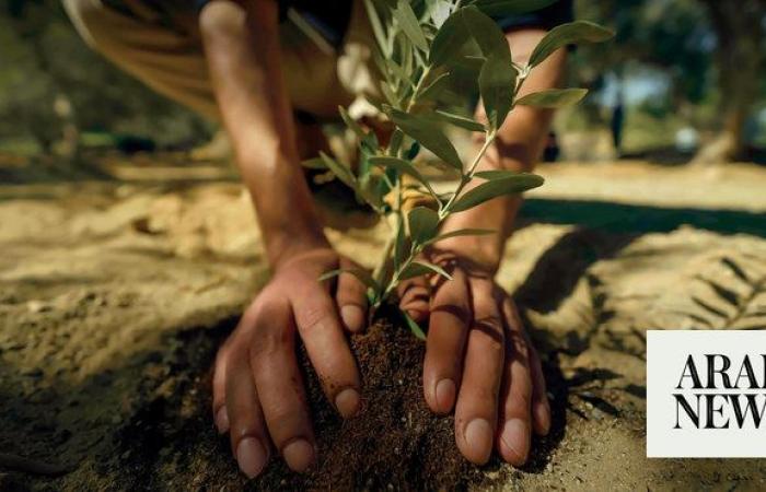 Saudi initiative to plant 100,000 trees in Bahrain