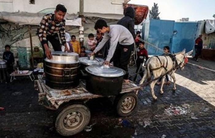 ‘Desperate, hungry, terrified’: Gazans stopping aid trucks in search of food