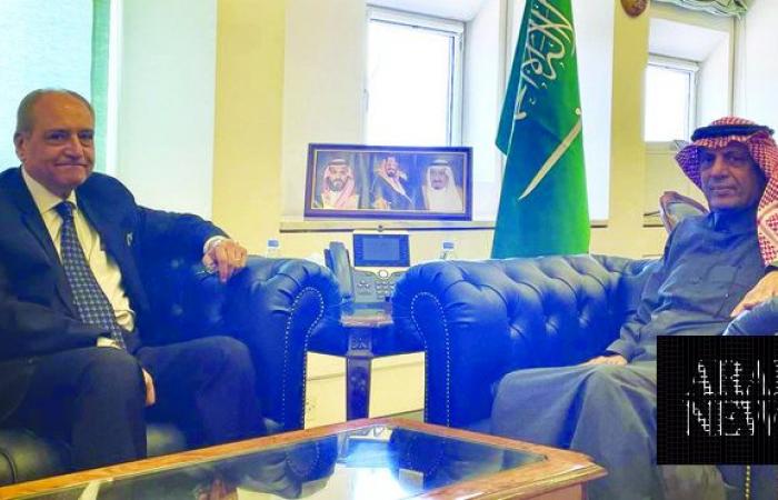 Saudi minister receives Egyptian ambassador