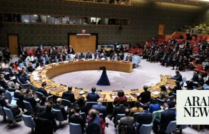 Saudi Arabia welcomes UN Security Council resolution on Gaza aid