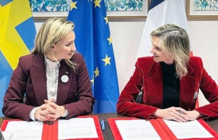 France and Sweden plan nuclear cooperation