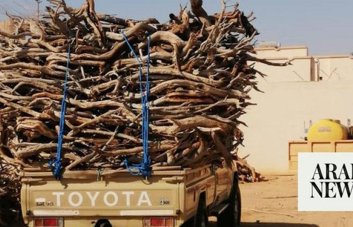 Saudi environmental center warns against logging