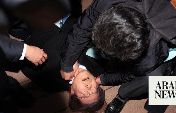South Korea opposition chief stabbed in neck — media