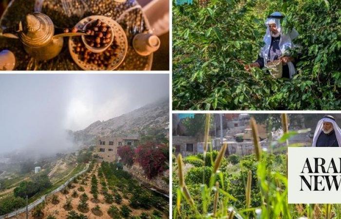 Shada mountains’ aromatic coffee is a sought-after brew