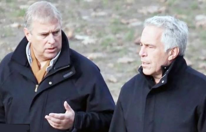 Prince Andrew ‘spent weeks’ at Epstein home — witness