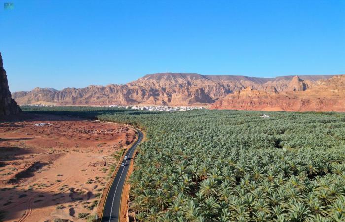 Doha Horticultural Expo 2023 celebrates ‘Saudi Day’ with cultural performances