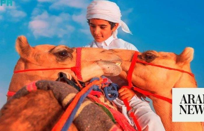 Arab society has time-honored bond with majestic camels