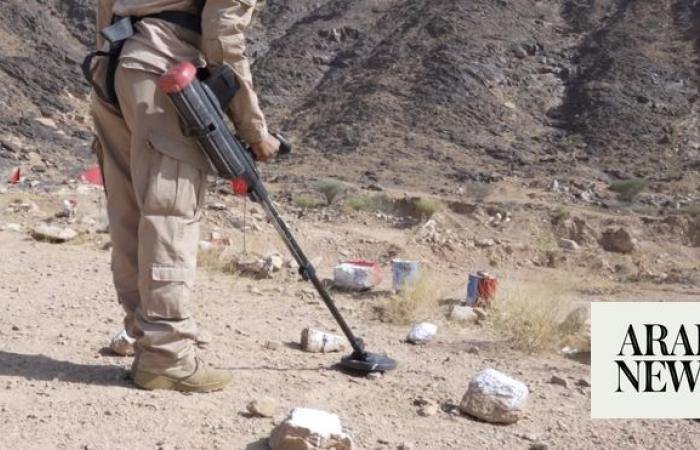 Saudi project clears 725 Houthi mines in Yemen