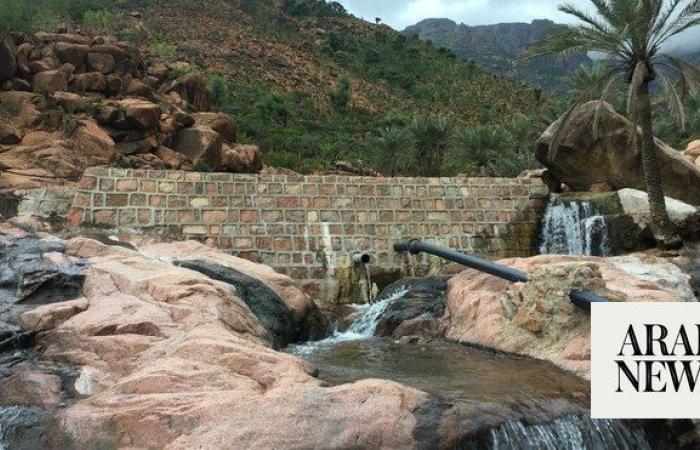 Saudi program launches water security project in Aden