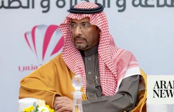 Saudi Arabia ups mineral resource estimates to $2.5 trillion -minister