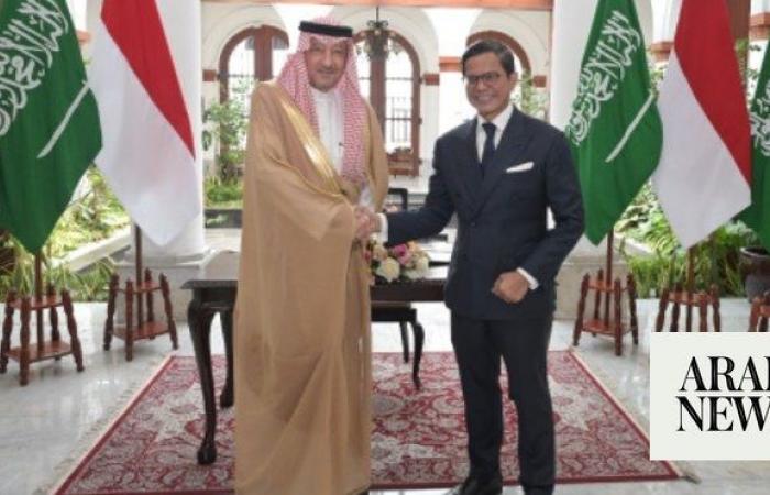 Indonesia seeks closer cooperation in energy, labor with Saudi Arabia