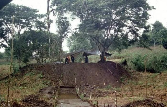 Huge ancient city found in the Amazon