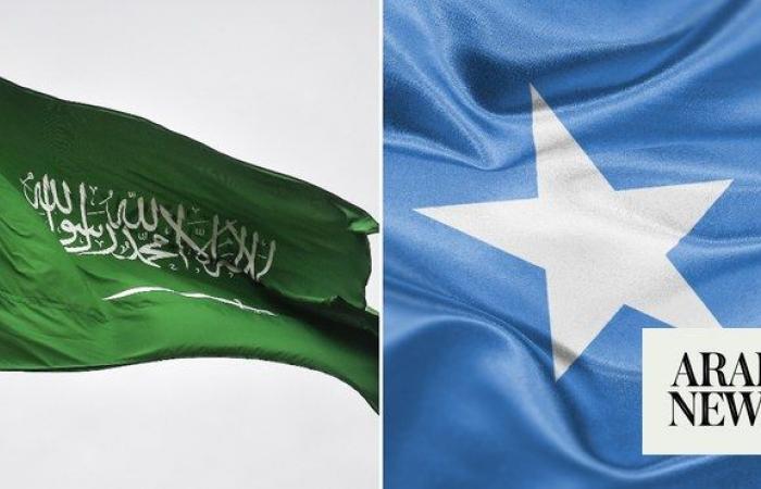 Saudi Arabia affirms keenness on unity of Somalia