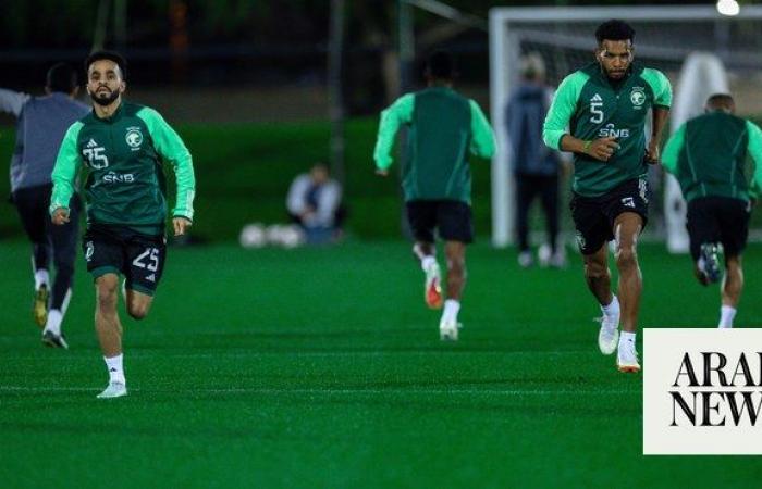 Mancini’s Green Falcons looking for Saudi fans to help drive Asian Cup ambitions