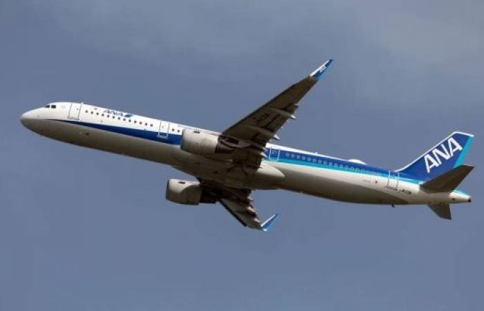 American passenger bites flight attendant forcing plane to return to Tokyo, airline says