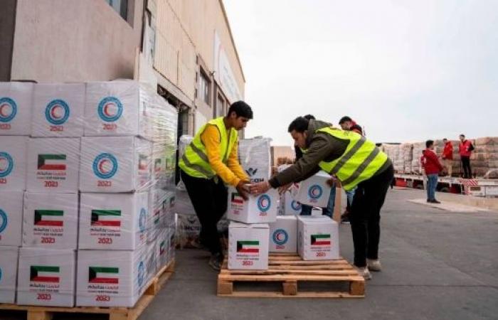 Medicines for Israeli hostages and Palestinians arrive in Gaza under deal