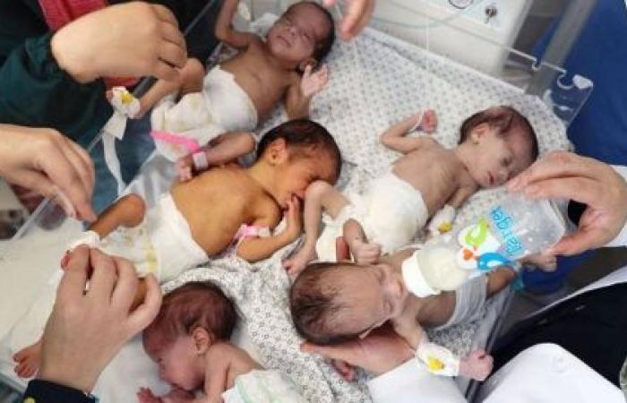 Gaza crisis: Babies being born ‘into hell’ amid desperate aid shortages