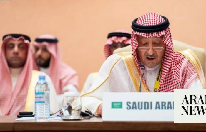 Saudi Arabia urges collective efforts to end global conflicts