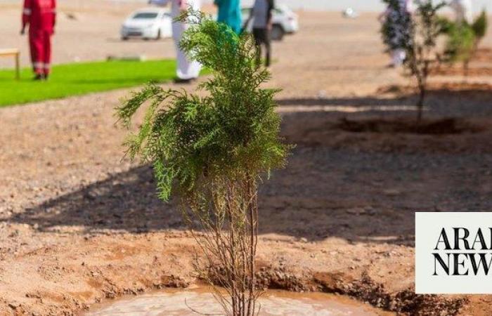 National Water Co. plants 1m trees in Madinah region