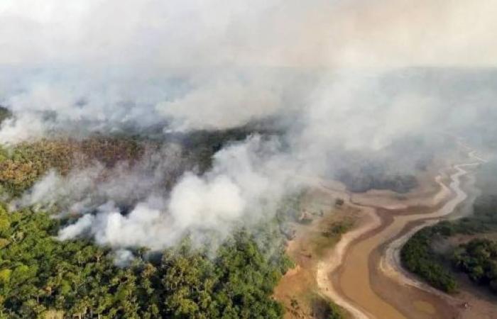 Amazon's record drought driven by climate change