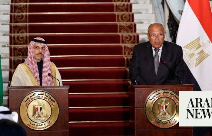 Saudi, Egyptian foreign ministers call for ceasefire in Gaza