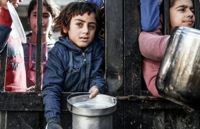 Simply not enough food to go around in Gaza, warn UN humanitarians