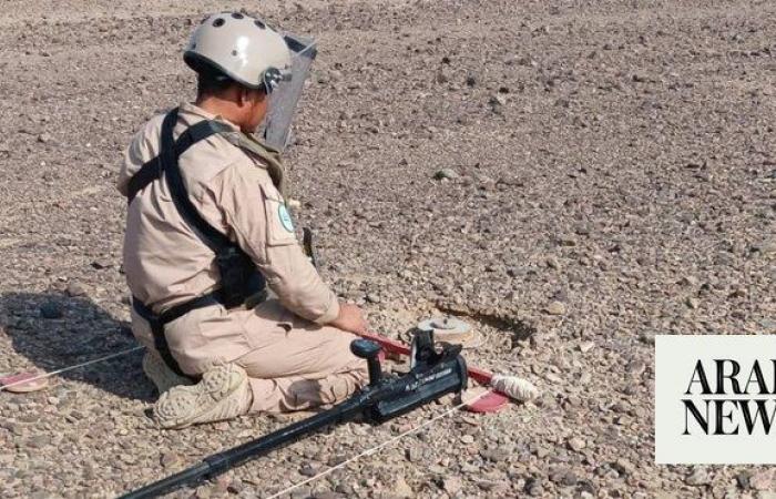 Saudi project clears 733 Houthi mines in Yemen in a week