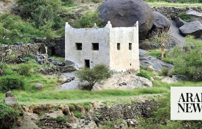 Natural landscape inspires vibrant tapestry of Asir’s historic homes