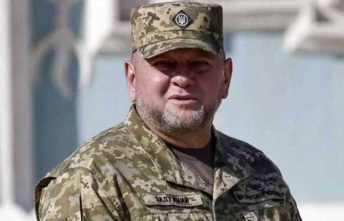 Ukraine's embattled army chief calls for new approach after setbacks