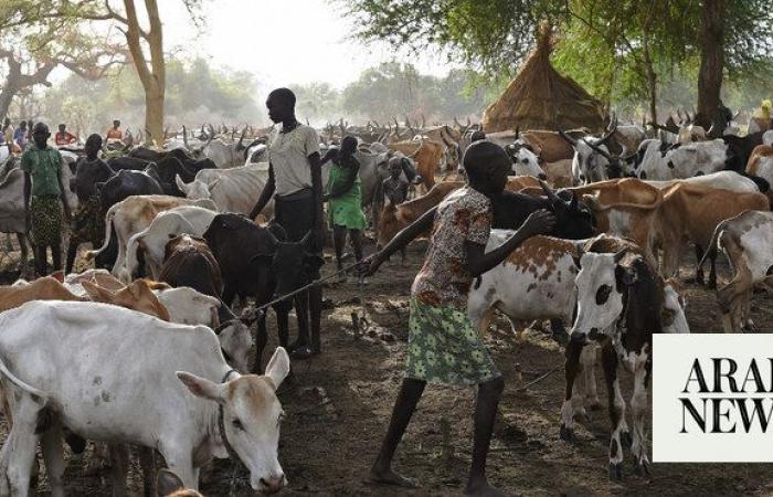 38 people killed, 52 wounded in communal clashes over land in South Sudan