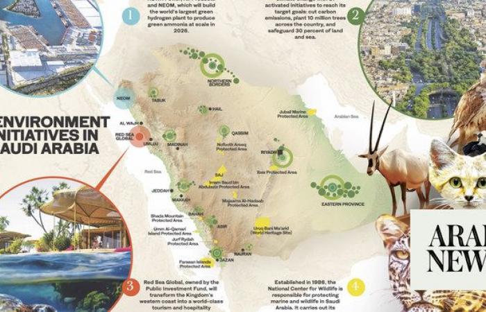 How Saudi Arabia is using wildlife conservation, habitat protection, and the green transition to preserve its ecosystems