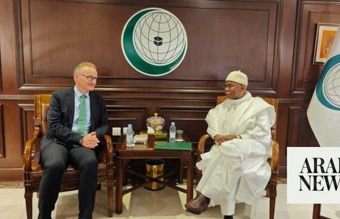 German envoy seeks strengthened dialogue, cooperation with OIC