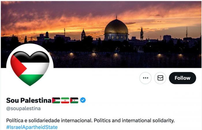 How pro-Palestine digital activists in Latin America are offering an uncensored view on Gaza