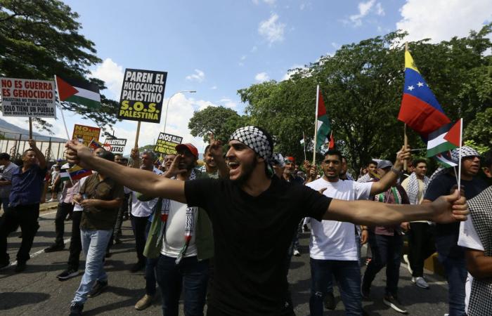 How pro-Palestine digital activists in Latin America are offering an uncensored view on Gaza